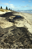Rena Oil Spill Disaster, Tauranga, NZ