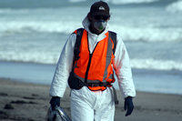 Rena Oil Spill Disaster, Tauranga, NZ