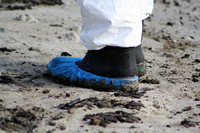 Rena Oil Spill Disaster, Tauranga, NZ