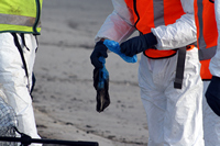 Rena Oil Spill Disaster, Tauranga, NZ
