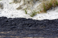 Rena Oil Spill Disaster, Tauranga, NZ