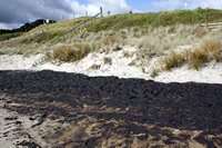 Rena Oil Spill Disaster, Tauranga, NZ