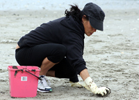 Rena Oil Spill Disaster, Tauranga, NZ