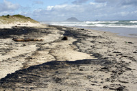 Rena Oil Spill Disaster, Tauranga, NZ