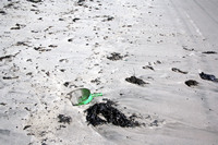 Rena Oil Spill Disaster, Tauranga, NZ
