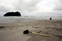 Rena Oil Spill Disaster, Tauranga, NZ