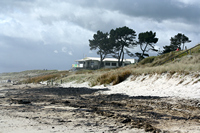 Rena Oil Spill Disaster, Tauranga, NZ
