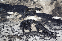 Rena Oil Spill Disaster, Tauranga, NZ