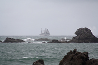 Rena Oil Spill Disaster, Tauranga, NZ