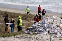 Rena Oil Spill Disaster, Tauranga, NZ
