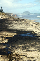 Rena Oil Spill Disaster, Tauranga, NZ