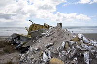 Rena Oil Spill Disaster, Tauranga, NZ