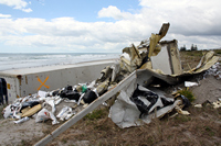 Rena Oil Spill Disaster, Tauranga, NZ