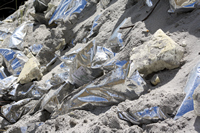 Rena Oil Spill Disaster, Tauranga, NZ