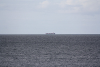 Rena Oil Spill Disaster, Tauranga, NZ