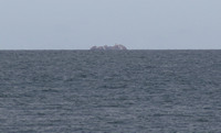 Rena Oil Spill Disaster, Tauranga, NZ