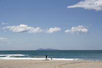 Rena Oil Spill Disaster, Tauranga, NZ