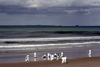 Rena Oil Spill Disaster, Tauranga, NZ