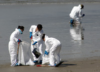 Rena Oil Spill Disaster, Tauranga, NZ