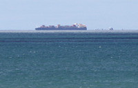 Rena Oil Spill Disaster, Tauranga, NZ