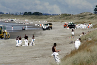 Rena Oil Spill Disaster, Tauranga, NZ