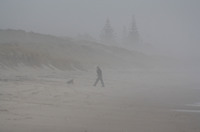 Rena Oil Spill Disaster, Tauranga, NZ