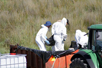 Rena Oil Spill Disaster, Tauranga, NZ