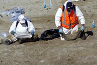 Rena Oil Spill Disaster, Tauranga, NZ
