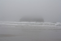 Rena Oil Spill Disaster, Tauranga, NZ