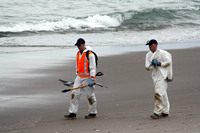Rena Oil Spill Disaster, Tauranga, NZ