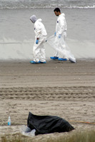 Rena Oil Spill Disaster, Tauranga, NZ