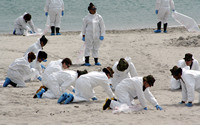 Rena Oil Spill Disaster, Tauranga, NZ