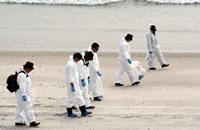 Rena Oil Spill Disaster, Tauranga, NZ