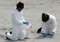 Rena Oil Spill Disaster, Tauranga, NZ