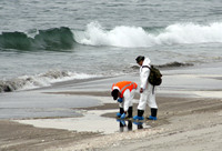 Rena Oil Spill Disaster, Tauranga, NZ