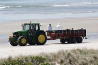 Rena Oil Spill Disaster, Tauranga, NZ