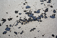 Rena Oil Spill Disaster, Tauranga, NZ