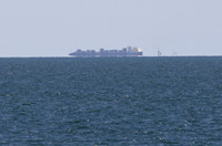 Rena Oil Spill Disaster, Tauranga, NZ
