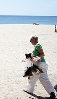 Rena Oil Spill Disaster, Tauranga, NZ