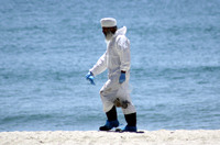 Rena Oil Spill Disaster, Tauranga, NZ