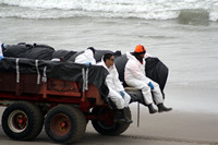 Rena Oil Spill Disaster, Tauranga, NZ