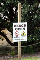 Rena Oil Spill Disaster, Tauranga, NZ
