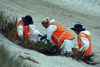Rena Oil Spill Disaster, Tauranga, NZ