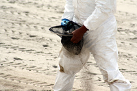 Rena Oil Spill Disaster, Tauranga, NZ