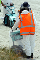 Rena Oil Spill Disaster, Tauranga, NZ