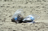 Rena Oil Spill Disaster, Tauranga, NZ