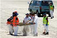 Rena Oil Spill Disaster, Tauranga, NZ