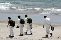 Rena Oil Spill Disaster, Tauranga, NZ