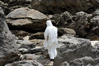 Rena Oil Spill Disaster, Tauranga, NZ