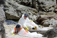 Rena Oil Spill Disaster, Tauranga, NZ
